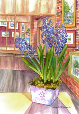 Hyacinths In Bloom